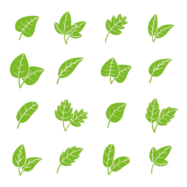 Hojas ecológicas verdes Logotipo de hoja de farmacia Elementos de follaje de árboles frescos Iconos biológicos naturales Plantas de té de menta aisladas Colección de vectores recientes orgánicos a base de hierbas