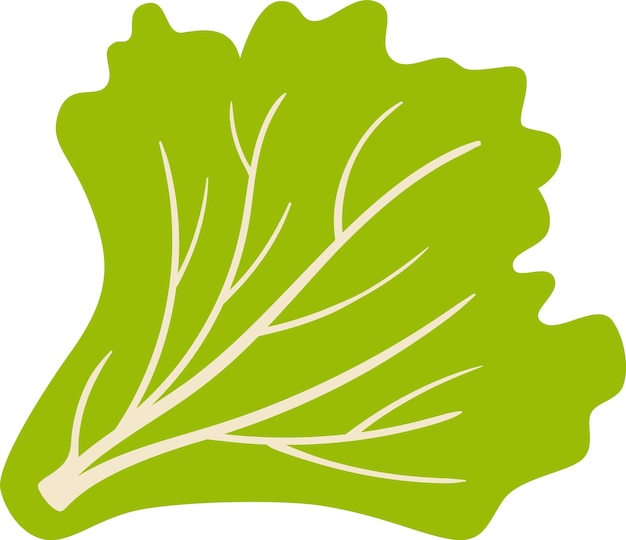Hojas de ensalada verdes de planta comestible