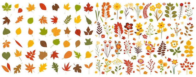 Hojas flores conjunto otoño en vector aislado de diseño plano