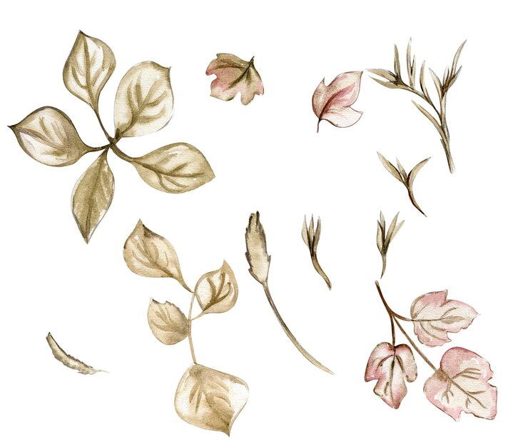 Vector hojas de flores dibujadas a mano acuarela