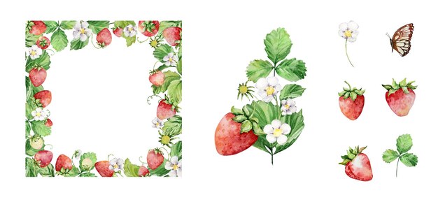 Hojas y flores de estraberry de acuarela enmarcadas