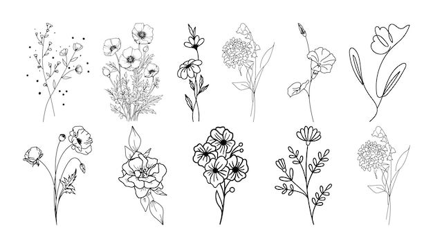 Hojas y flores de línea establecida