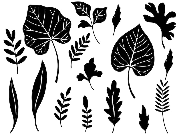 Hojas y flores negras Silueta Colección vectorial Clipart botánico Elementos de la naturaleza Decorativo