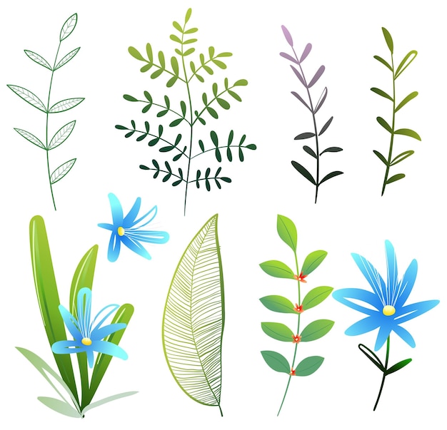 Vector hojas flores y plantas conjunto clipart botánico