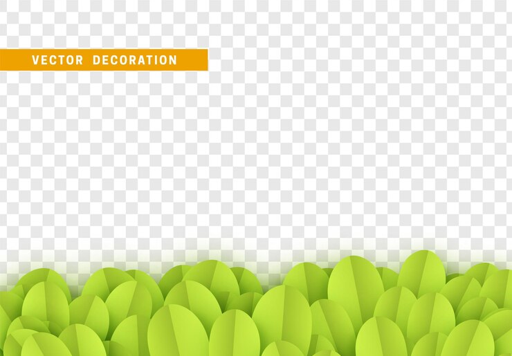 Vector hojas de fondo de borde, plantas de hierbas. hierba de papel. ilustración vectorial