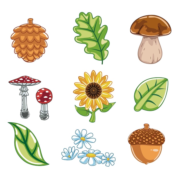 Hojas forestales y elementos de diseño