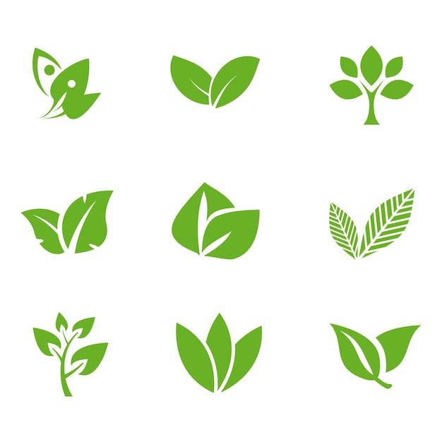 Hojas de icono logo ecología orgánica a base de hierbas naturales