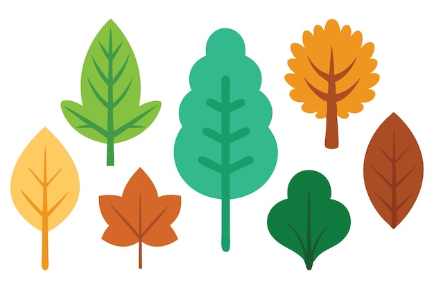 hojas lindas de diferentes tipos de árboles establecidos ilustración vectorial plana