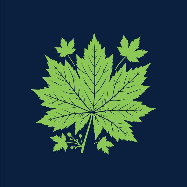 Hojas de marihuana verdes frescas y vibrantes en un fondo variado