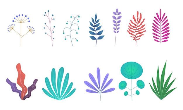 Vector hojas mínimas planas colección simple de ramas y arbustos verdes planta y follaje tropical selva y jardín elementos botánicos de verano objetos de decoración dibujos animados vectoriales aislados en un conjunto de fondo blanco