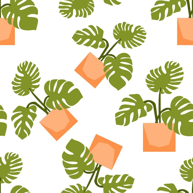 Vector hojas de monstera, fondo de patrón floral vectorial sin costuras de hoja de selva