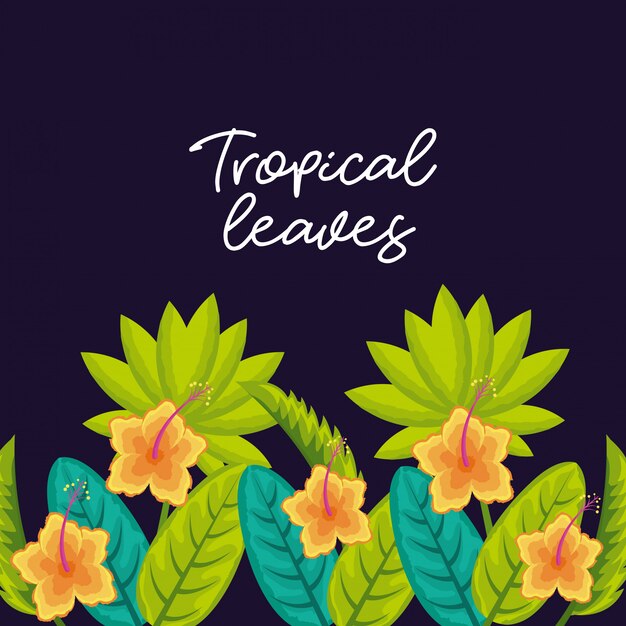 Hojas naturales tropicales