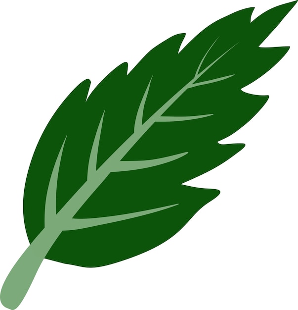 Hojas de neem