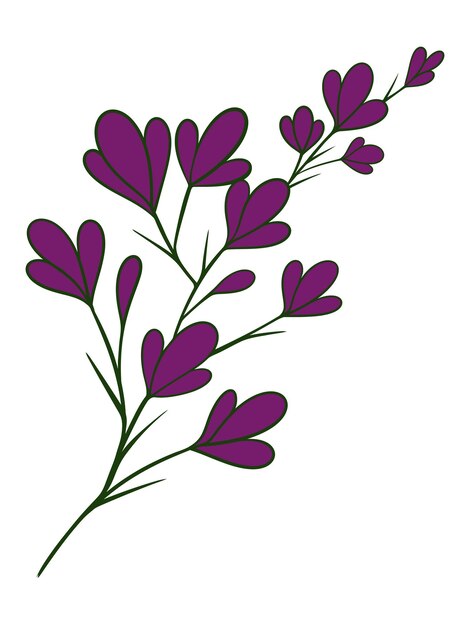 hojas orgánicas para elementos de creación de plantillas.
