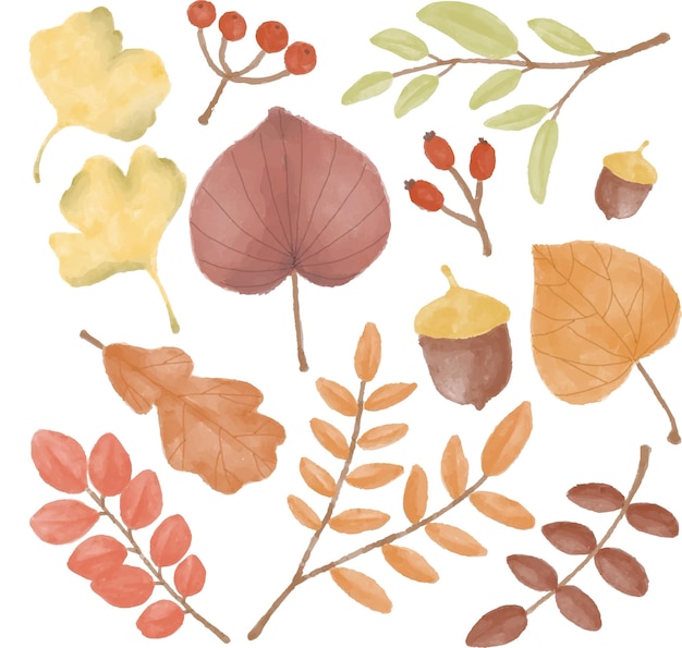 Hojas de otoño de acuarela