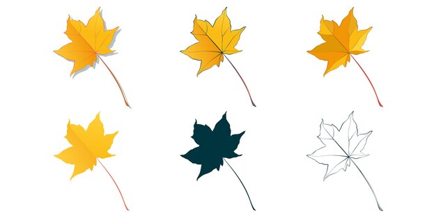 Hojas de otoño de arce botánico aisladas sobre fondo blanco