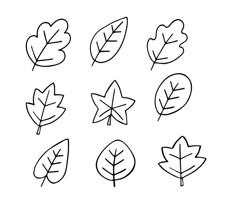 Hojas de otoño y bayas juego de garabateo Hola elementos de otoño hojas hierbas castaña bellota en boceto