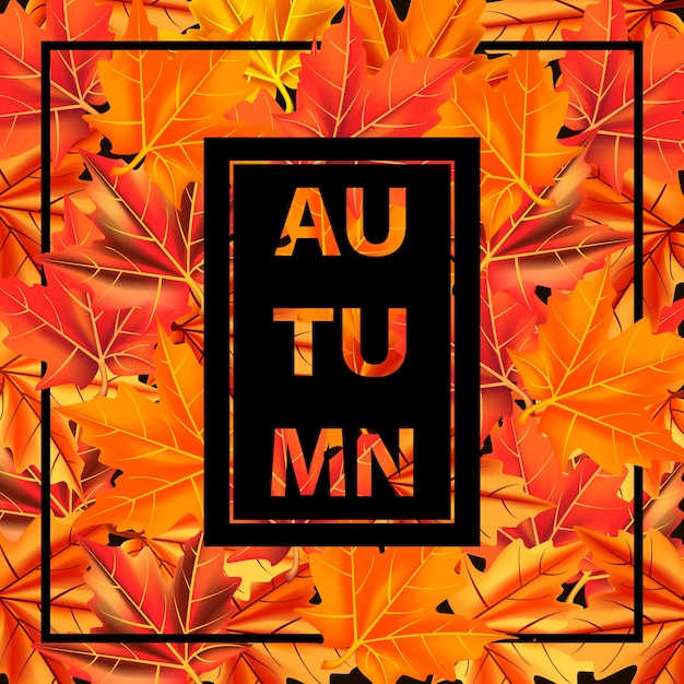 Las hojas de otoño caen en el fondo