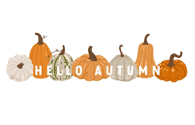 Hojas de otoño y calabazas conjunto aislado fondo blanco elementos de Acción de Gracias vector