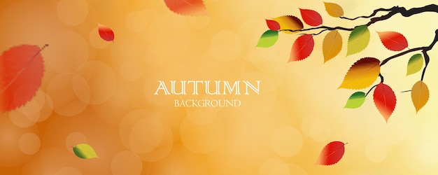 Las hojas de otoño decoran un hermoso fondo de naturaleza bokeh