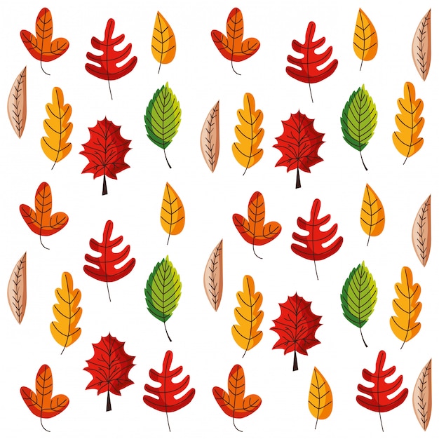 Hojas de otoño de fondo aislado. ilustración vectorial