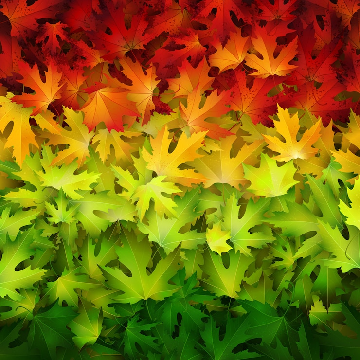 Vector hojas de otoño en el fondo