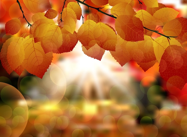 Hojas de otoño en el fondo