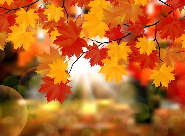 Hojas de otoño en el fondo