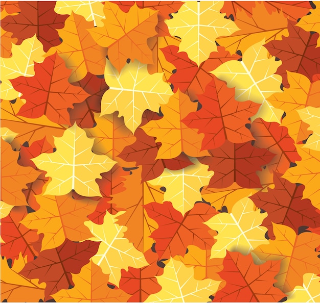 Hojas de otoño en el fondo