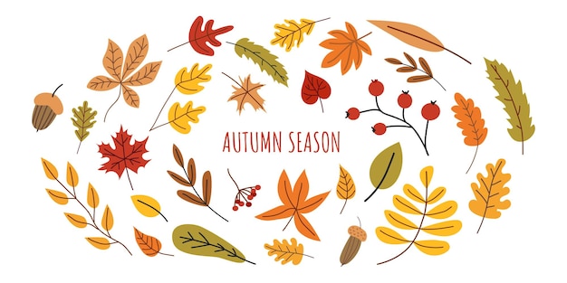 Hojas de otoño, hojas de abeto, de lindo, de banderas para las fiestas de la temporada, de Acción de Gracias.