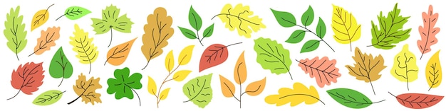 Hojas de otoño. hojas de color aisladas. conjunto de hojas de otoño. ilustración vectorial.