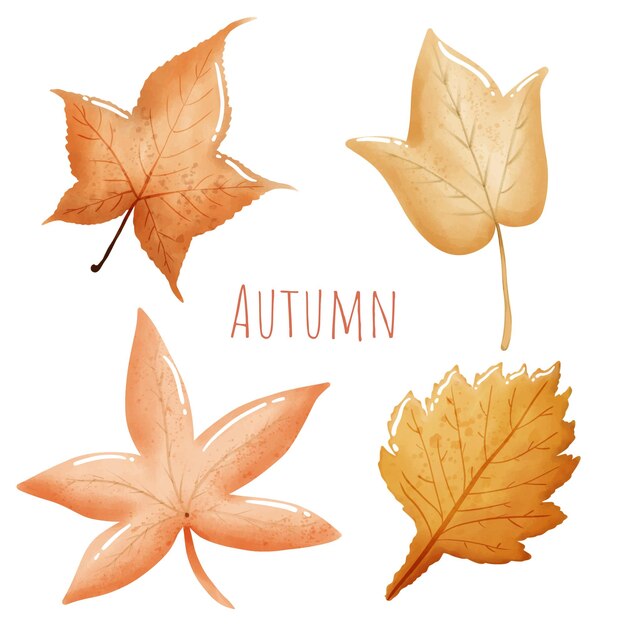 Vector hojas de otoño o iconos vectoriales de otoño conjunto aislado