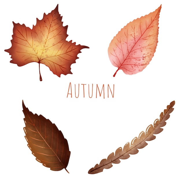 Vector hojas de otoño o iconos vectoriales de otoño conjunto aislado