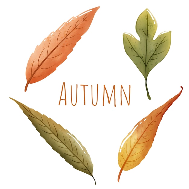 Hojas de otoño o iconos vectoriales de otoño conjunto aislado