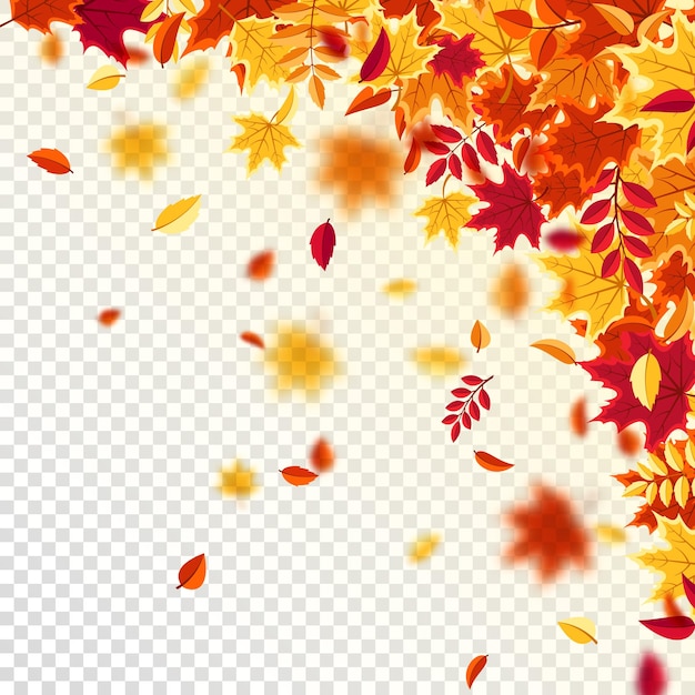 Hojas de otoño que caen fondo de la naturaleza con follaje rojo naranja amarillo venta de la temporada de hojas voladoras