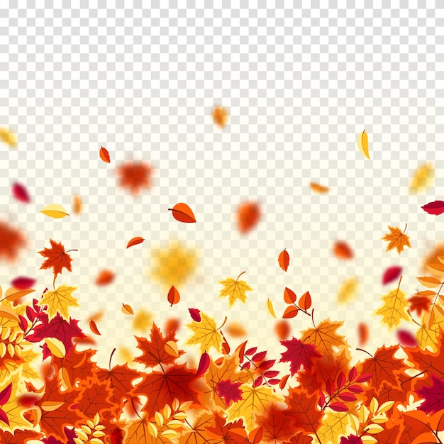 Hojas de otoño que caen fondo de la naturaleza con follaje rojo naranja amarillo venta de la temporada de hojas voladoras