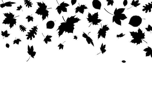 Hojas de otoño que caen siluetas fondo hojas de otoño negras que caen al azar sobre fondo blanco