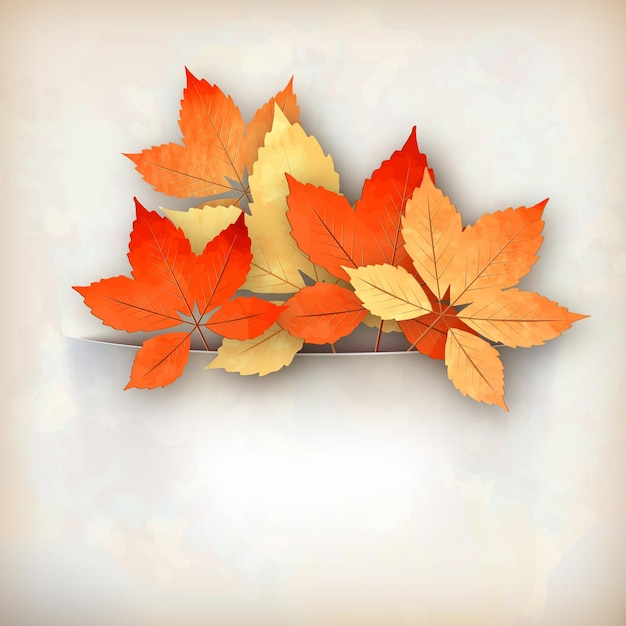 Hojas de otoño retro insertadas en un bolsillo de papel