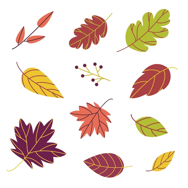 Hojas de otoño rojas, amarillas, naranjas, verdes y moradas aisladas en fondo blanco para el diseño estacional