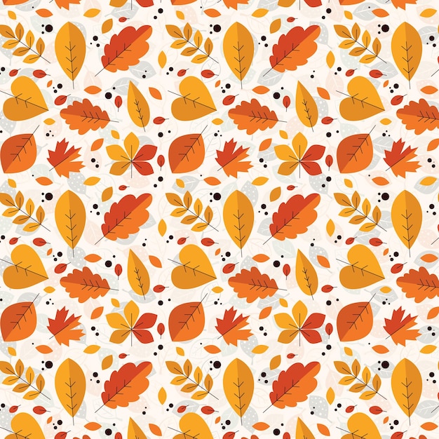 hojas de otoño sobre un fondo blanco