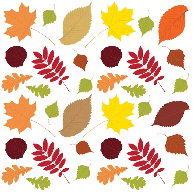 Las hojas de otoño tienen un patrón sin costuras.