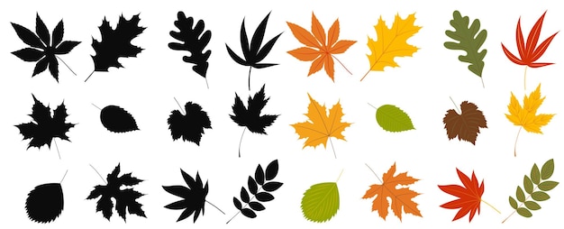 Hojas de otoño en vector aislado de diseño plano