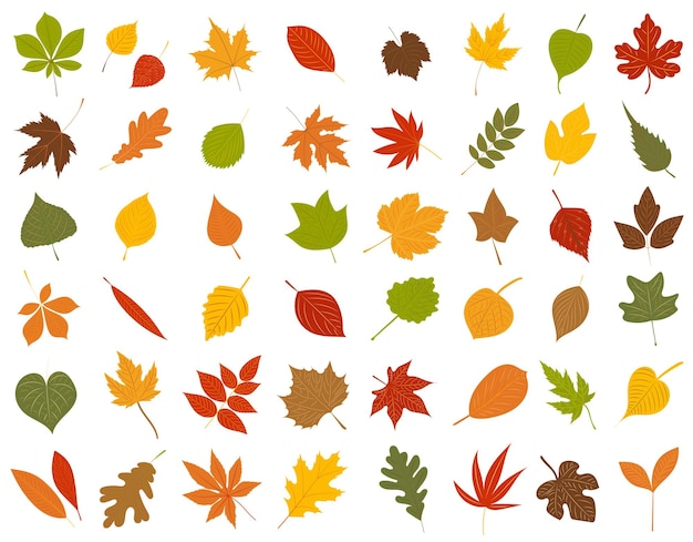 Hojas de otoño en vector aislado de estilo plano