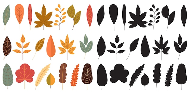 Hojas de otoño en vector de fondo blanco