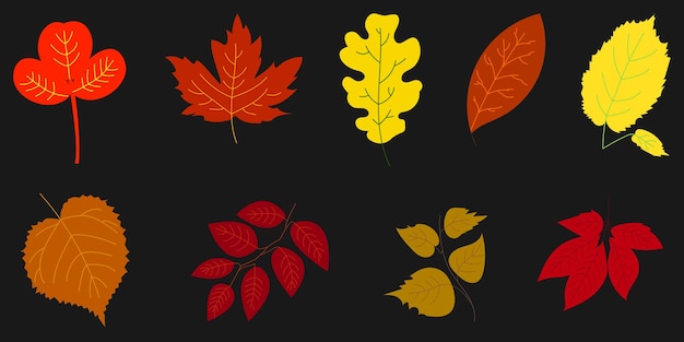 Las hojas de otoño vector libre