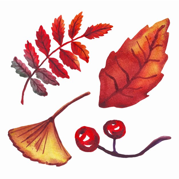 Las hojas de otoño vector