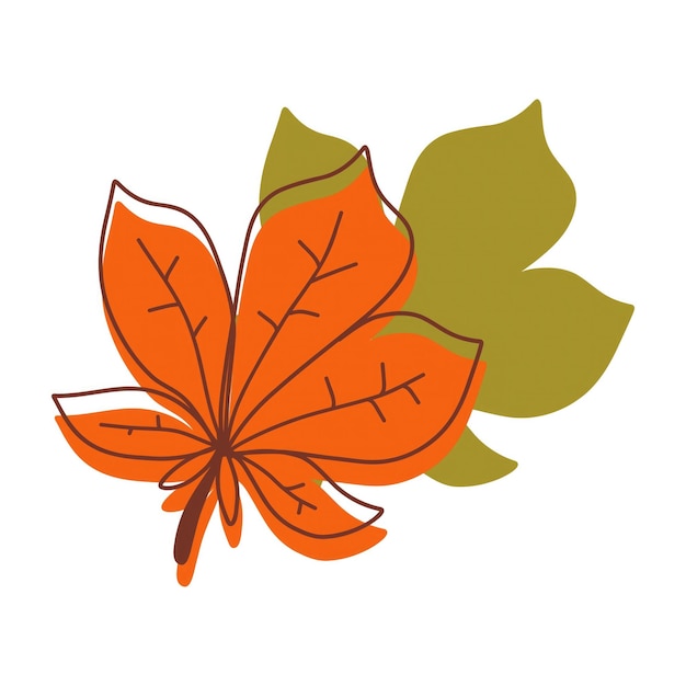 Hojas de otoño en vibrantes colores naranja y verde sobre un fondo blanco