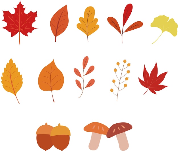 hojas de otoño