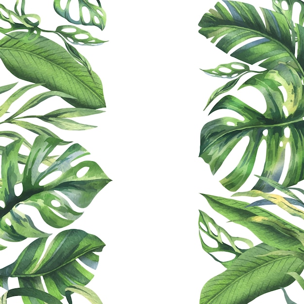 Hojas de palma de plátano de coco tropical monstera máscara de mono frangipani verde brillante y jugoso dibujado a mano