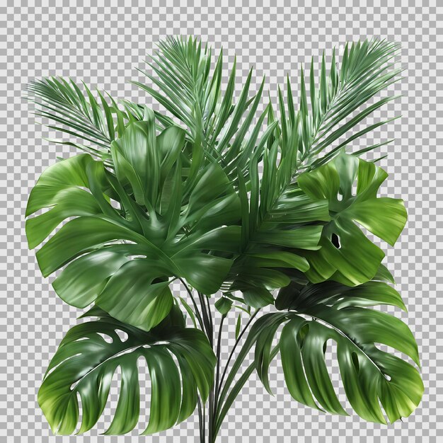 Hojas de palma verde follaje fondo transparente representación 3d
